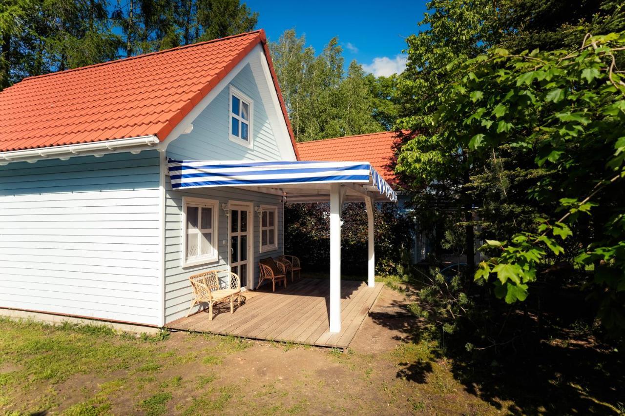 Kwiat Paproci Apartamento