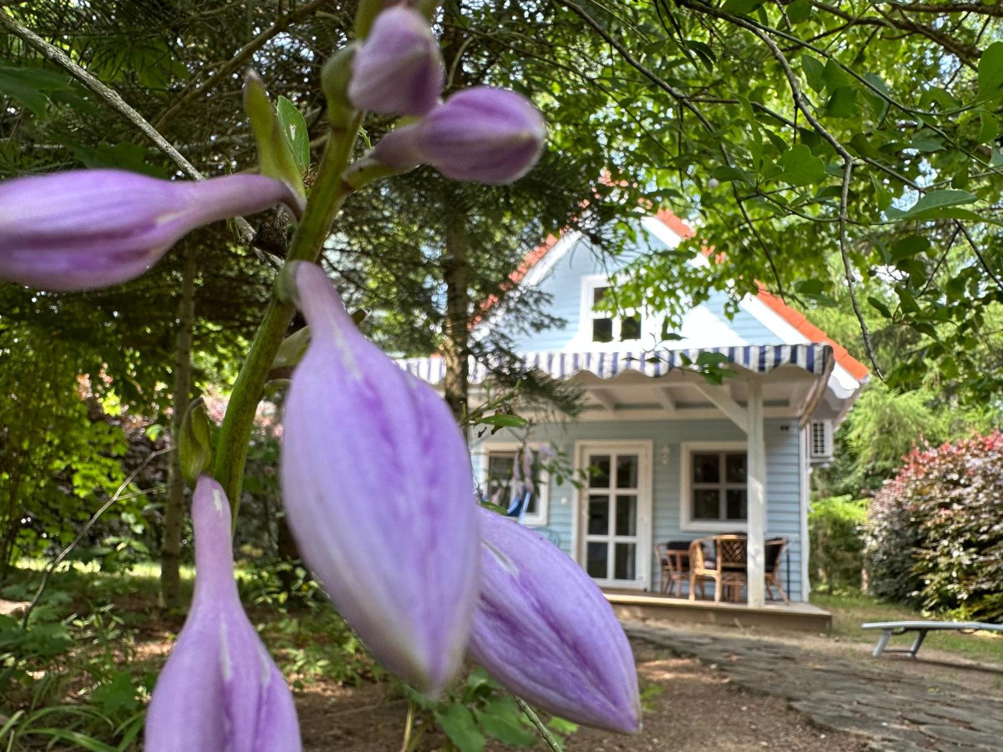 Apartment Kwiat Paproci Ryn (Warmian-Masurian)